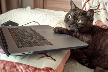 Similar image 21472730