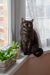 Similar image 21472731