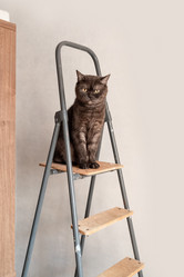 Similar image 21475275