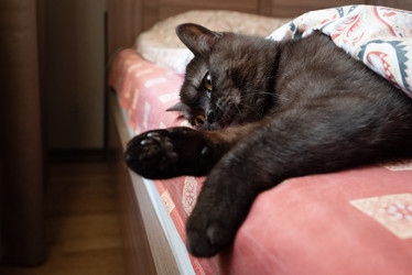 Similar image 21475276