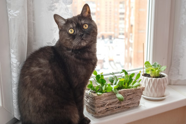 Similar image 21475279