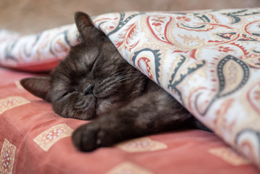 Similar image 21475282