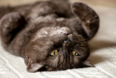 Similar image 21475283