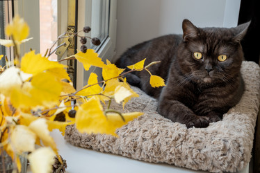 Similar image 21472732