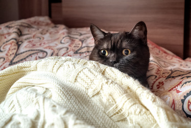 Similar image 21475284