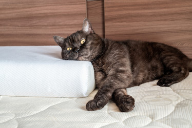 Similar image 21472735