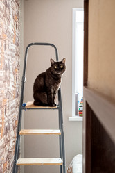 Similar image 21475287