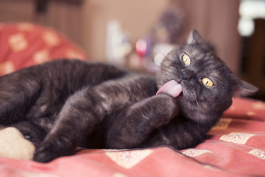 Similar image 21476708