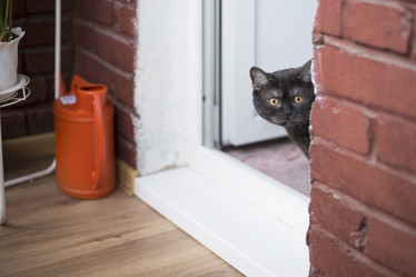 Similar image 21475289