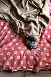 Similar image 21475290