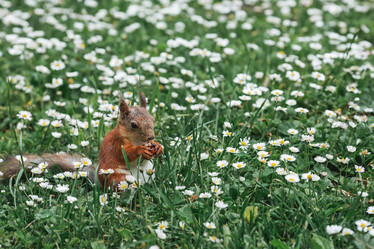 Similar image 21478279