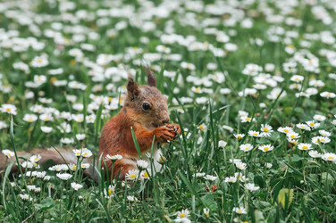 Similar image 21479717