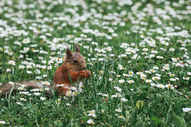 Similar image 21479718