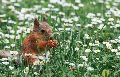 Similar image 21478280