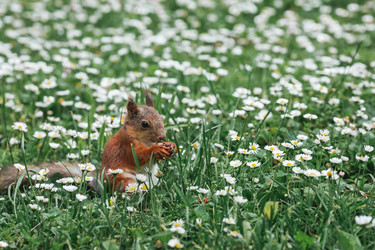 Similar image 21478281