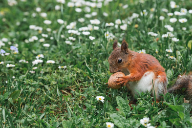 Similar image 21479719