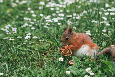 Similar image 21479720