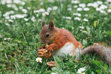 Similar image 21479721