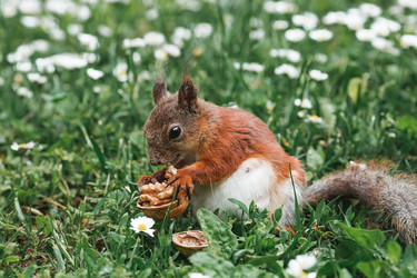 Similar image 21478282