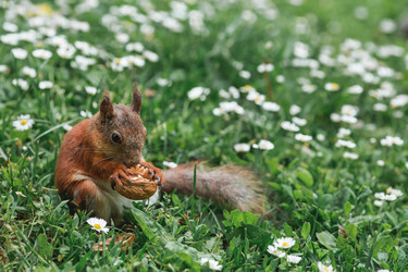 Similar image 21479722