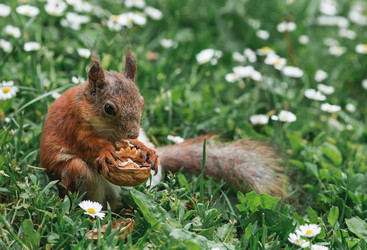 Similar image 21478283