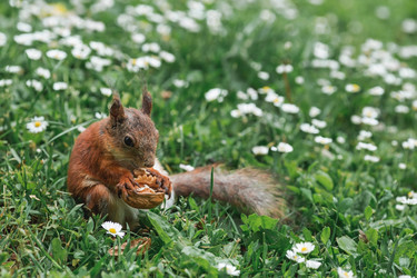 Similar image 21479723