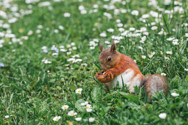 Similar image 21479724