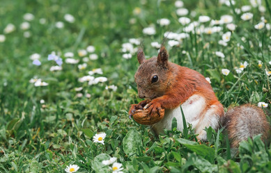 Similar image 21478284