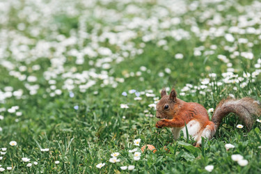 Similar image 21478285