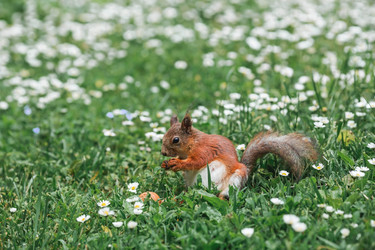 Similar image 21479725