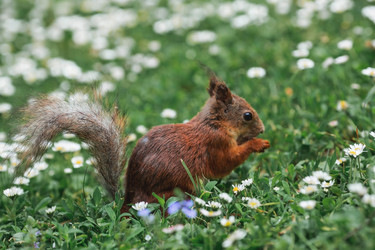 Similar image 21479726