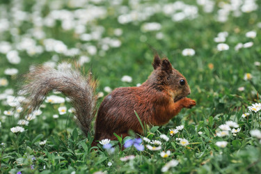 Similar image 21479727