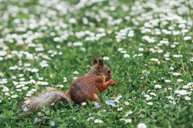 Similar image 21479728