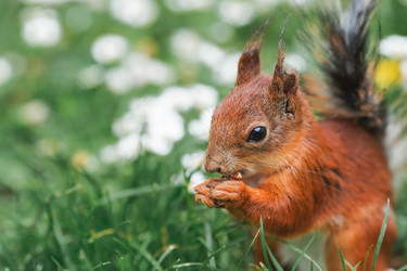 Similar image 21478288