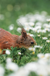 Similar image 21478290