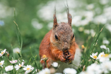 Similar image 21478293