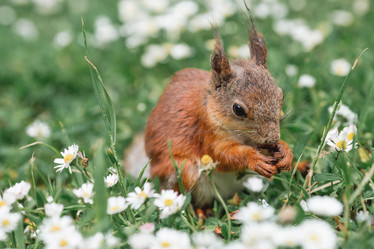 Similar image 21478294