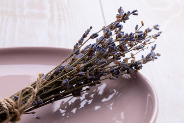 Similar image 21472738