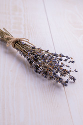 Similar image 21472741