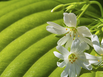 Similar image 21470762