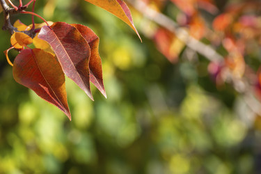 Similar image 21470773