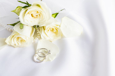 Similar image 21470784