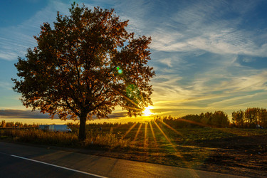 Similar image 21471603