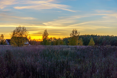 Similar image 21471605