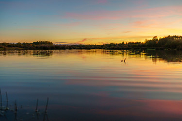 Similar image 21471611