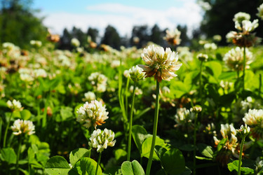 Similar image 21478296