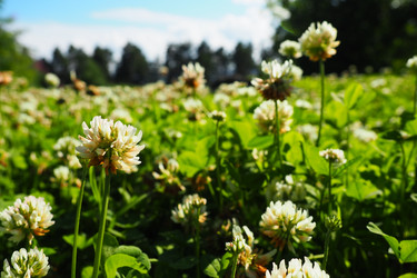 Similar image 21478297