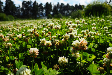 Similar image 21478298