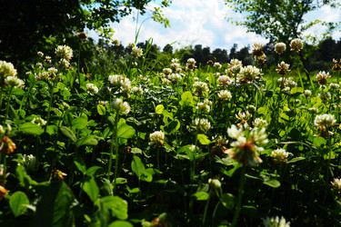 Similar image 21478299