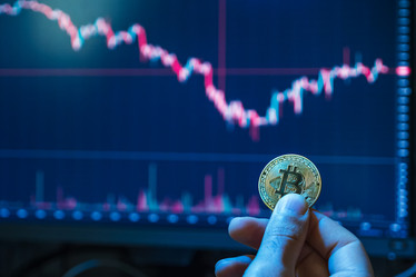 Similar image 21477705